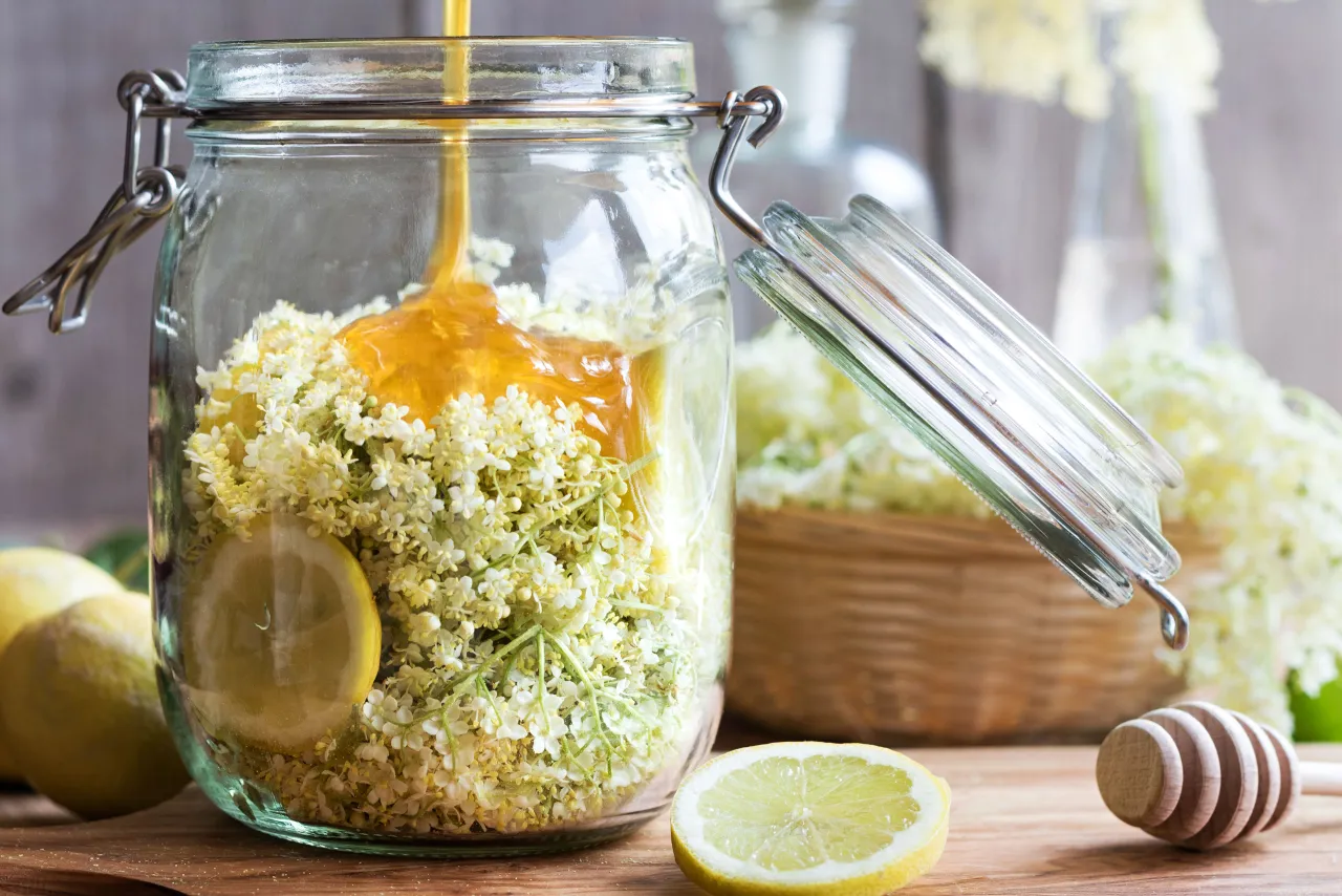 kwiat czarnego bzu i cytryna