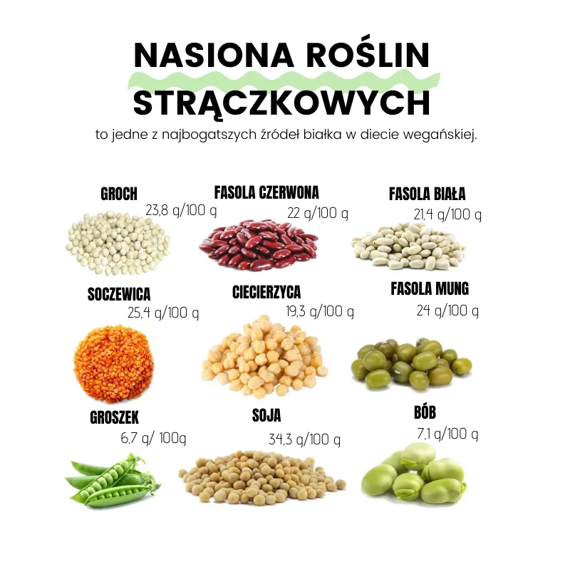 Roślinne źródła białka