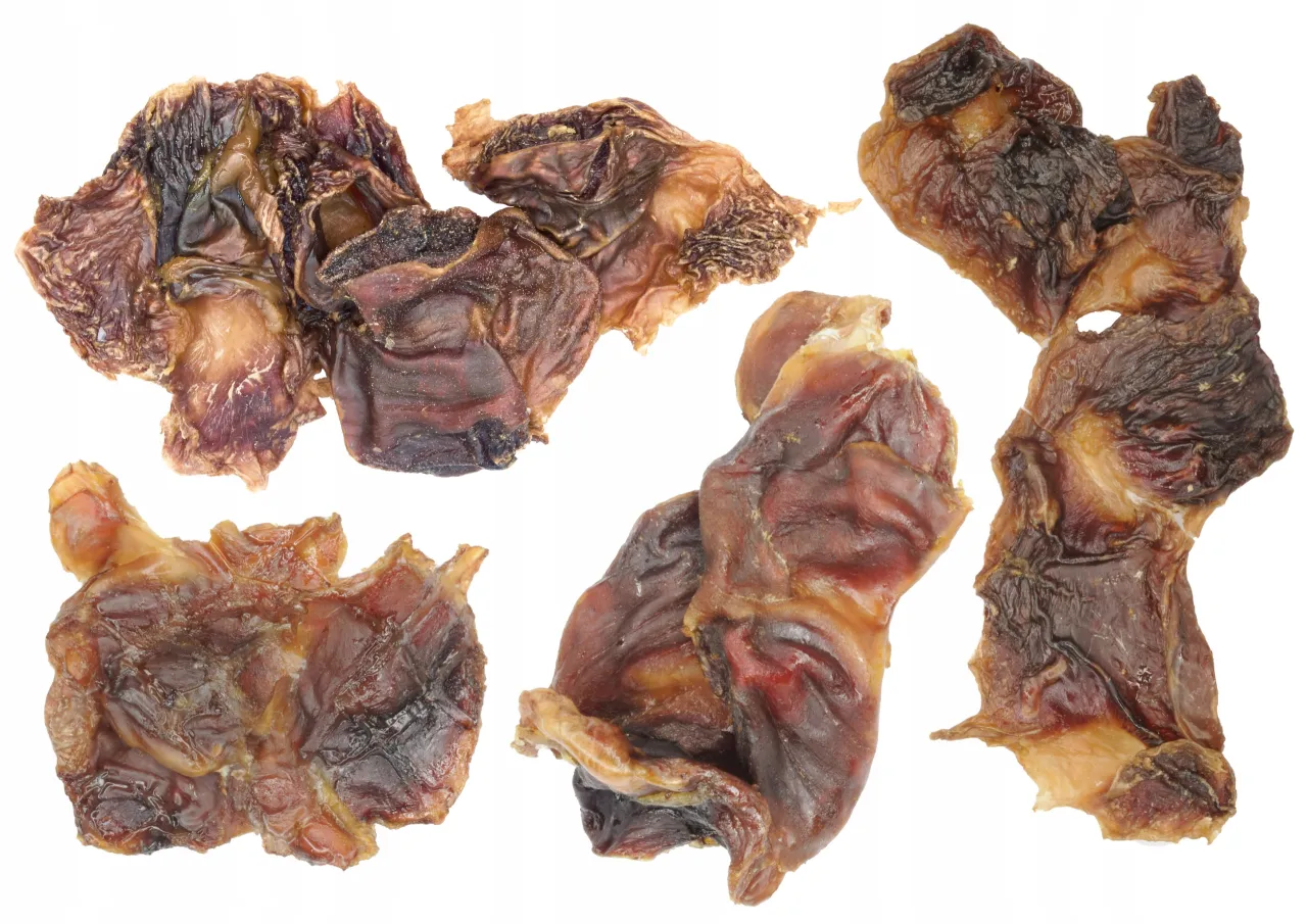 żołądki drobiowe dla psa