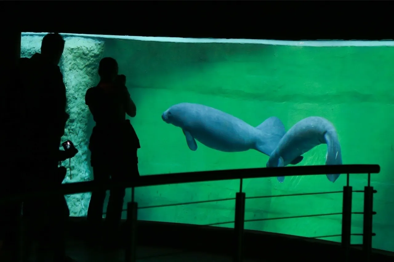 Afrykarium Wrocław zwierzęta