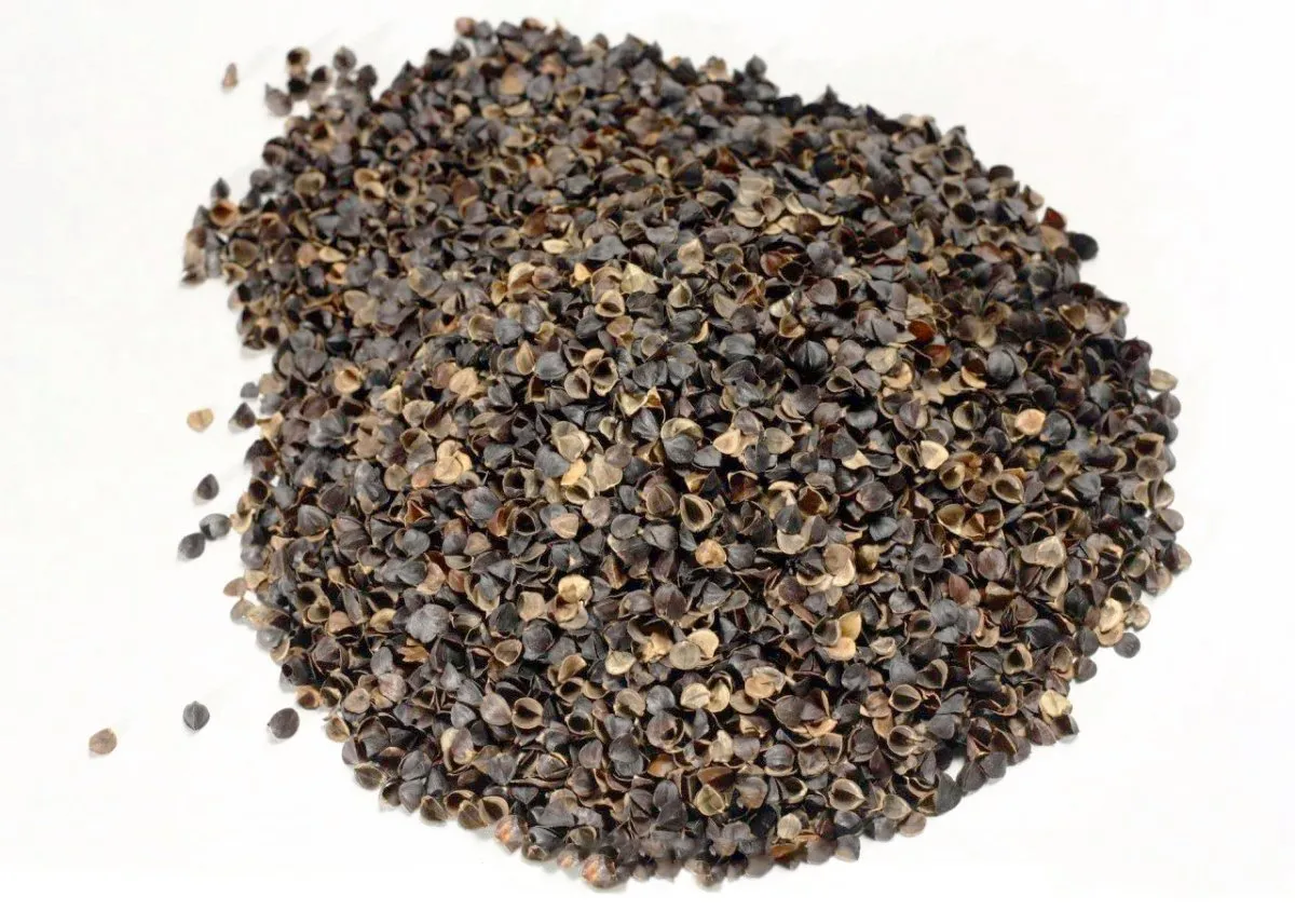 r&oacute;żne wypełnienia naturalne do poduszek puch pierze łuska gryki