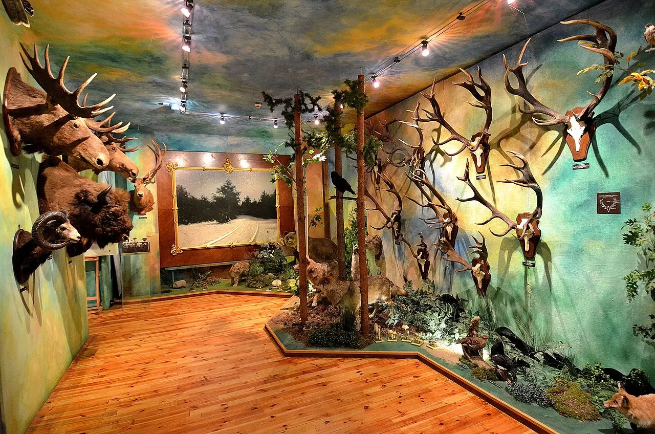 Muzeum Łowiectwa i Jeździectwa godziny otwarcia bilety