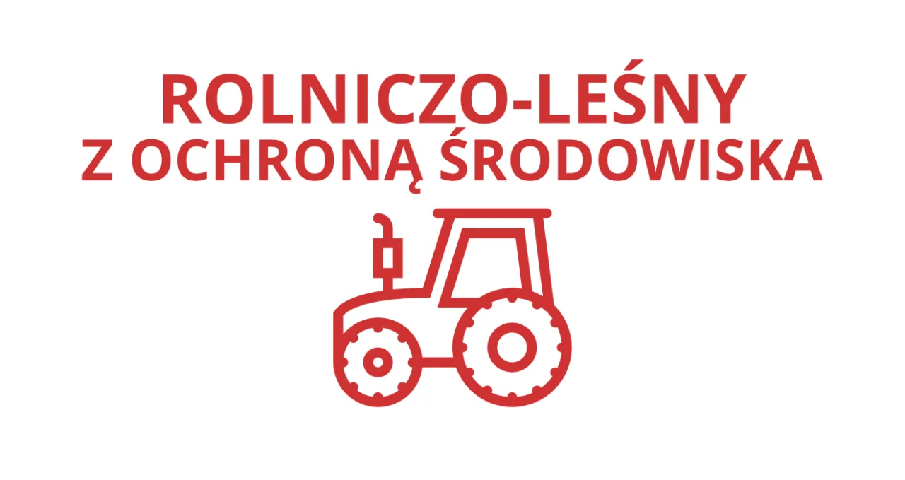 Zdjęcie Technik jeździectwa – unikalny program kształcenia z przyszłością zawodową