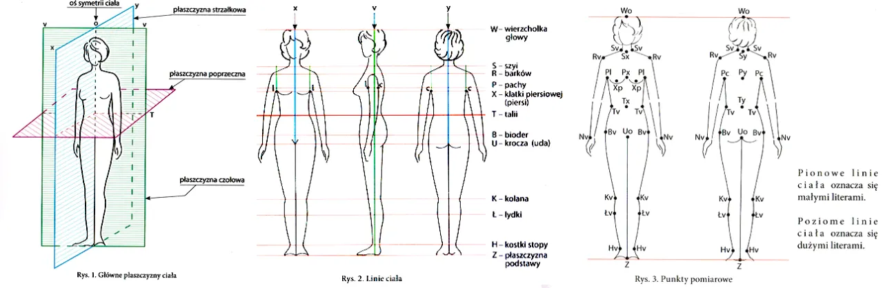 Osoba mierząca obw&oacute;d pasa i bioder miarką krawiecką