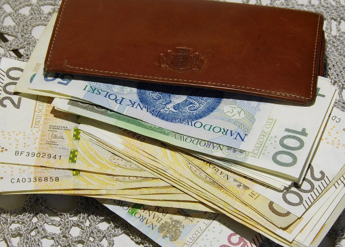polskie pieniądze portfel budżet domowy