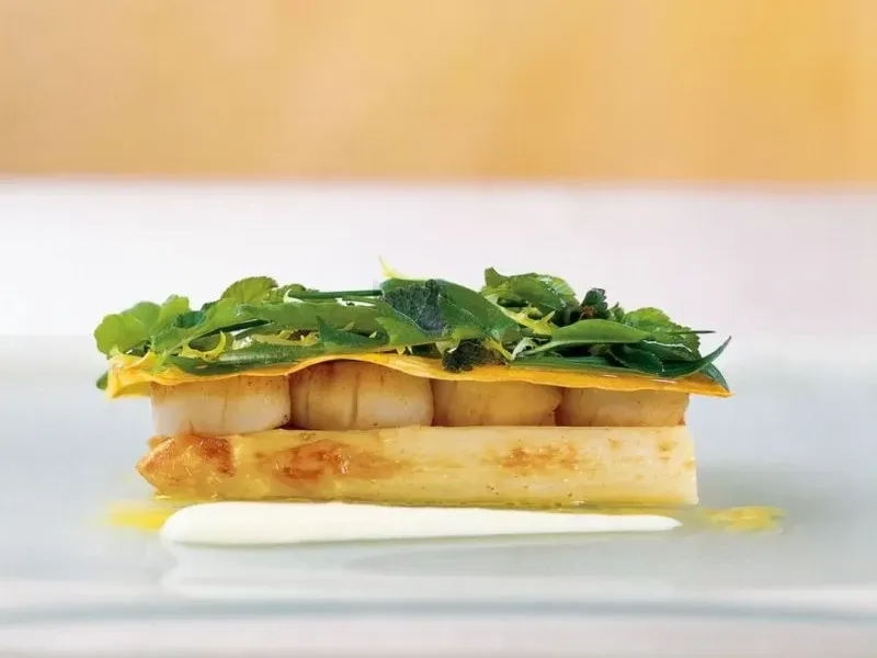 Gebratene Jakobsmuscheln mit Spargelragout angerichtet