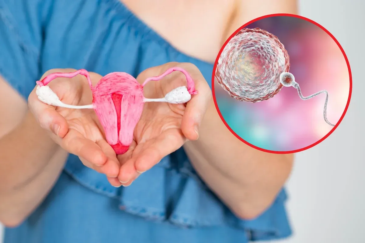 ciąża pozamaciczna lokalizacje implantacji