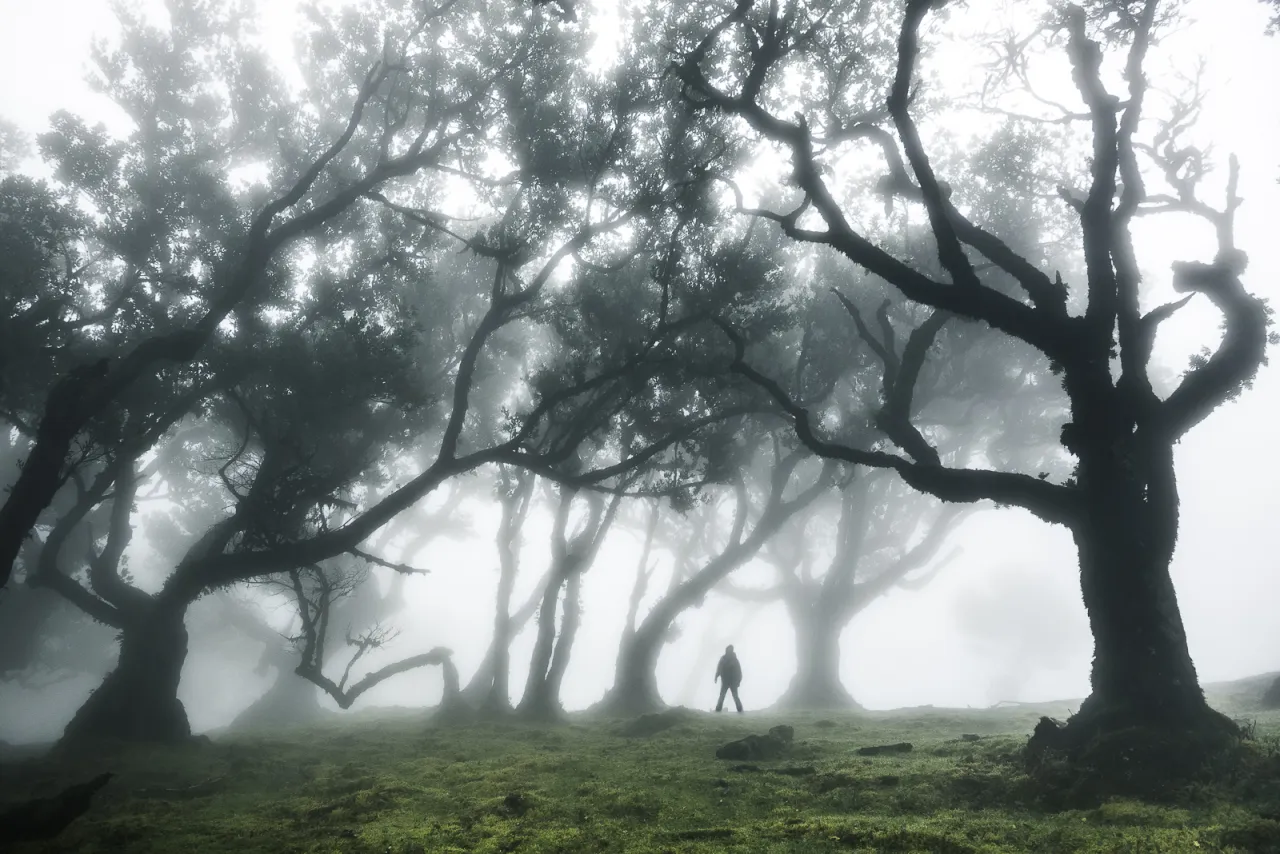 Las Fanal Madera mgła