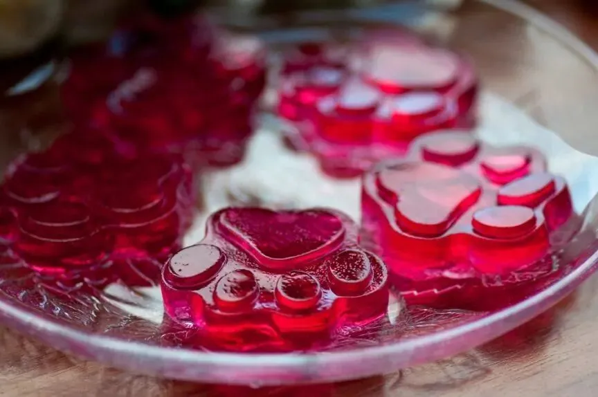 domowe żelki dla psa z żelatyny