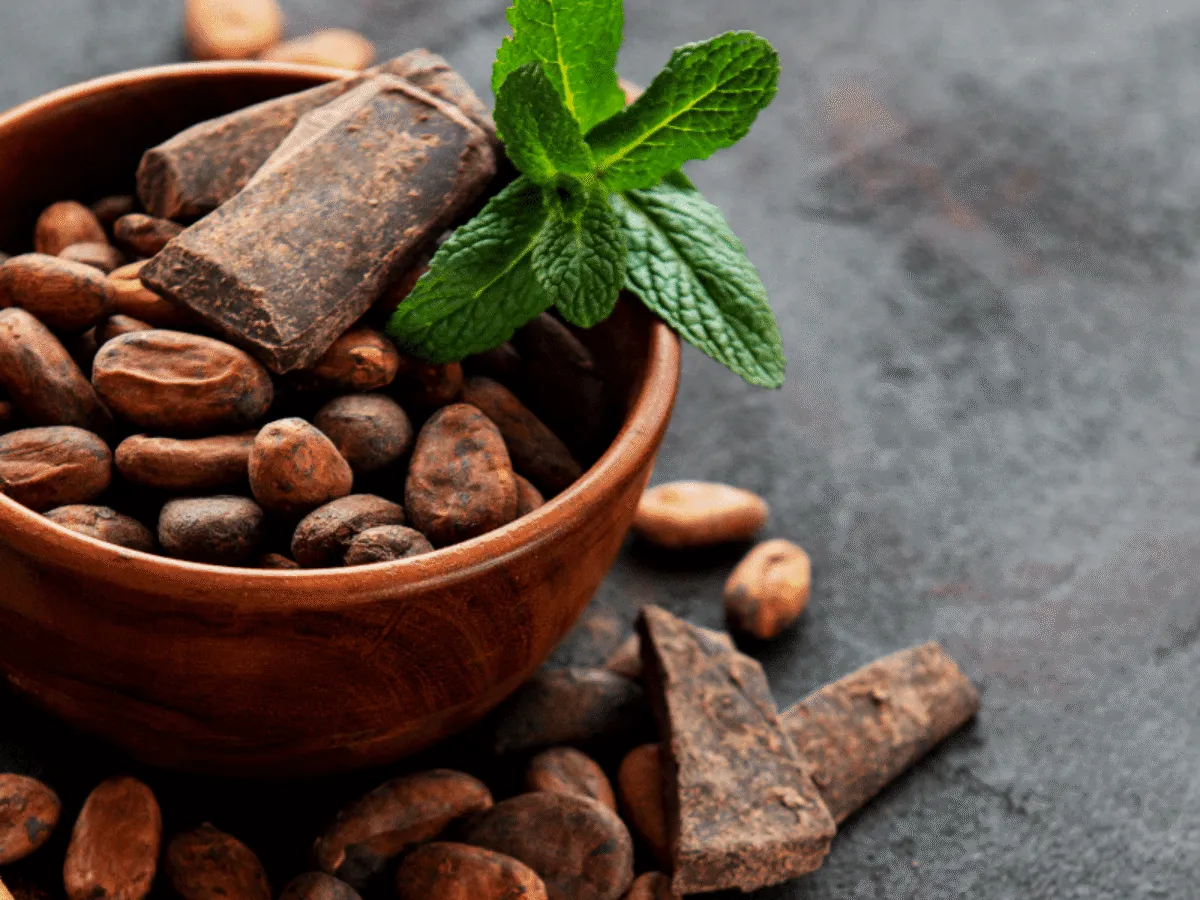 zastosowanie kakao alkalizowanego i naturalnego w kuchni