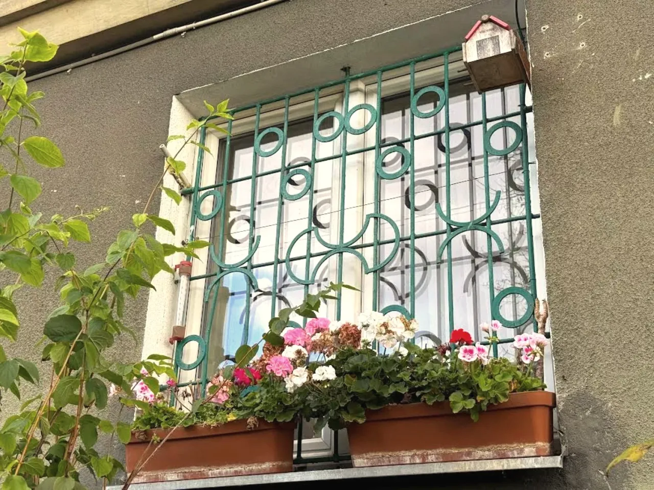 Kiedy pelargonie na balkon kwitną, okno zdobią kolorowe kwiaty. Zielona kratka i karmnik dla ptak&oacute;w dodają uroku.