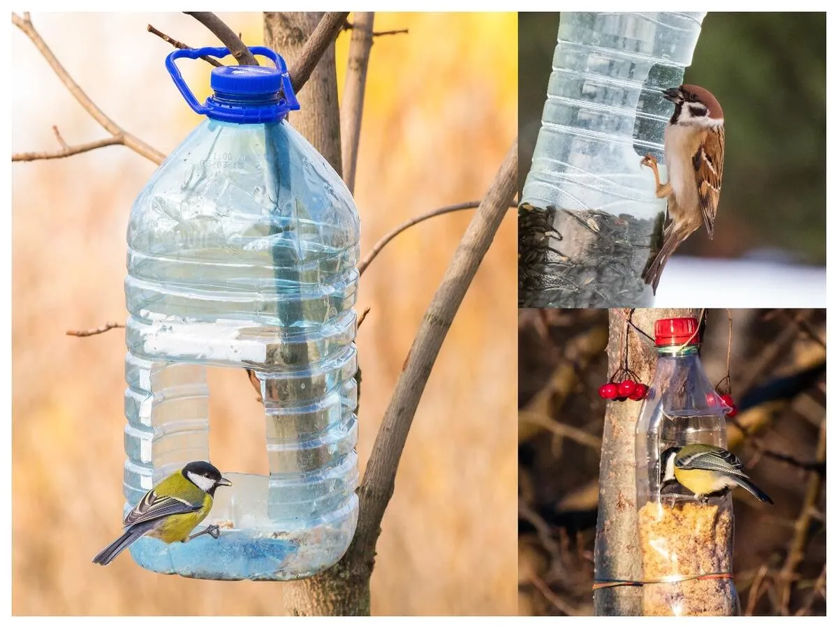 proste karmniki dla wr&oacute;bli z recyklingu