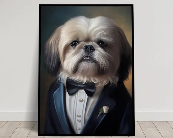 Shih tzu portret