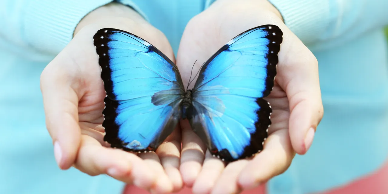 Masaż Dotyku Motyla historia i filozofia