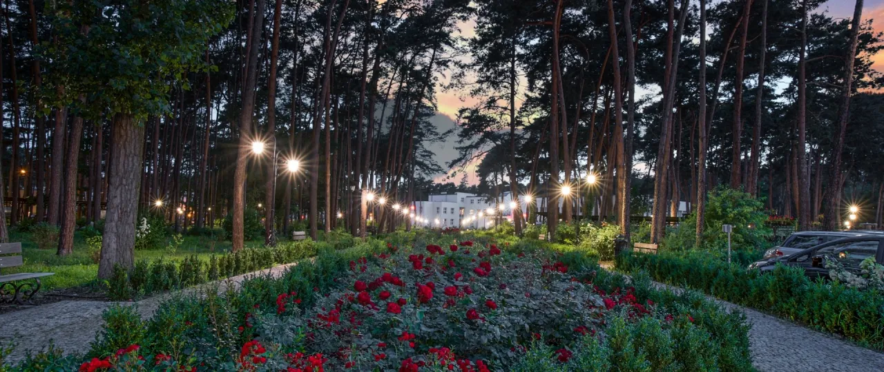 Uzdrowisko Wieniec-Zdrój profile leczenia