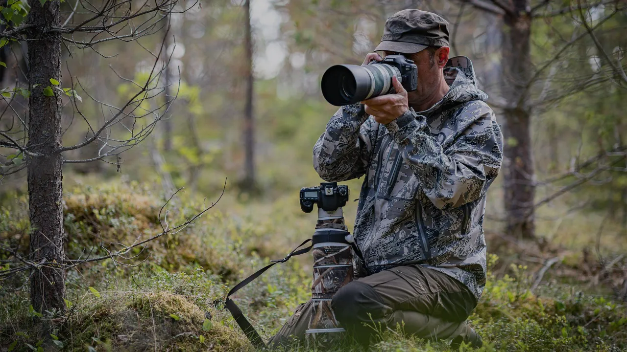 Canon EOS 90D wildlife photography