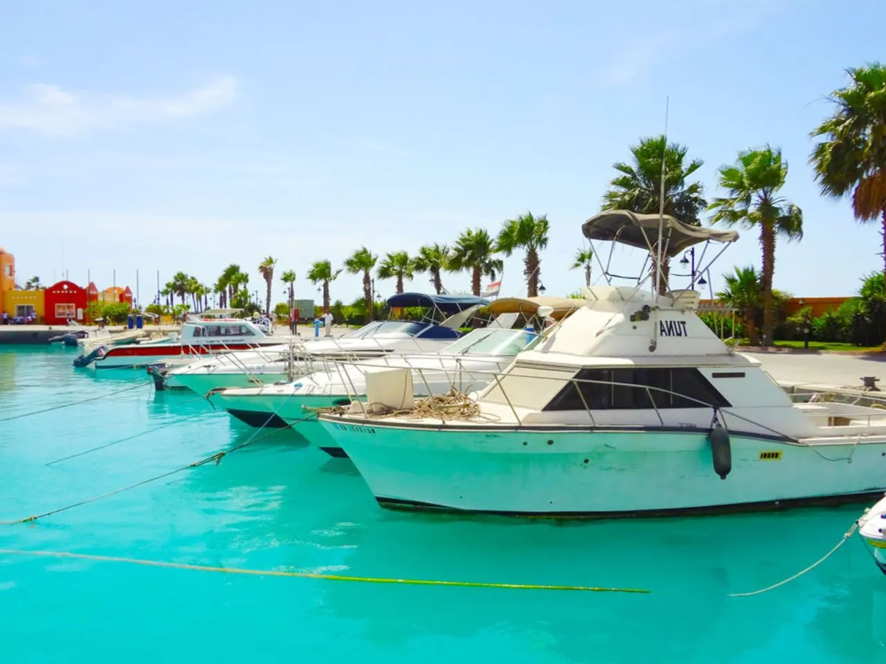 Port Ghalib marina zakupy pamiątki