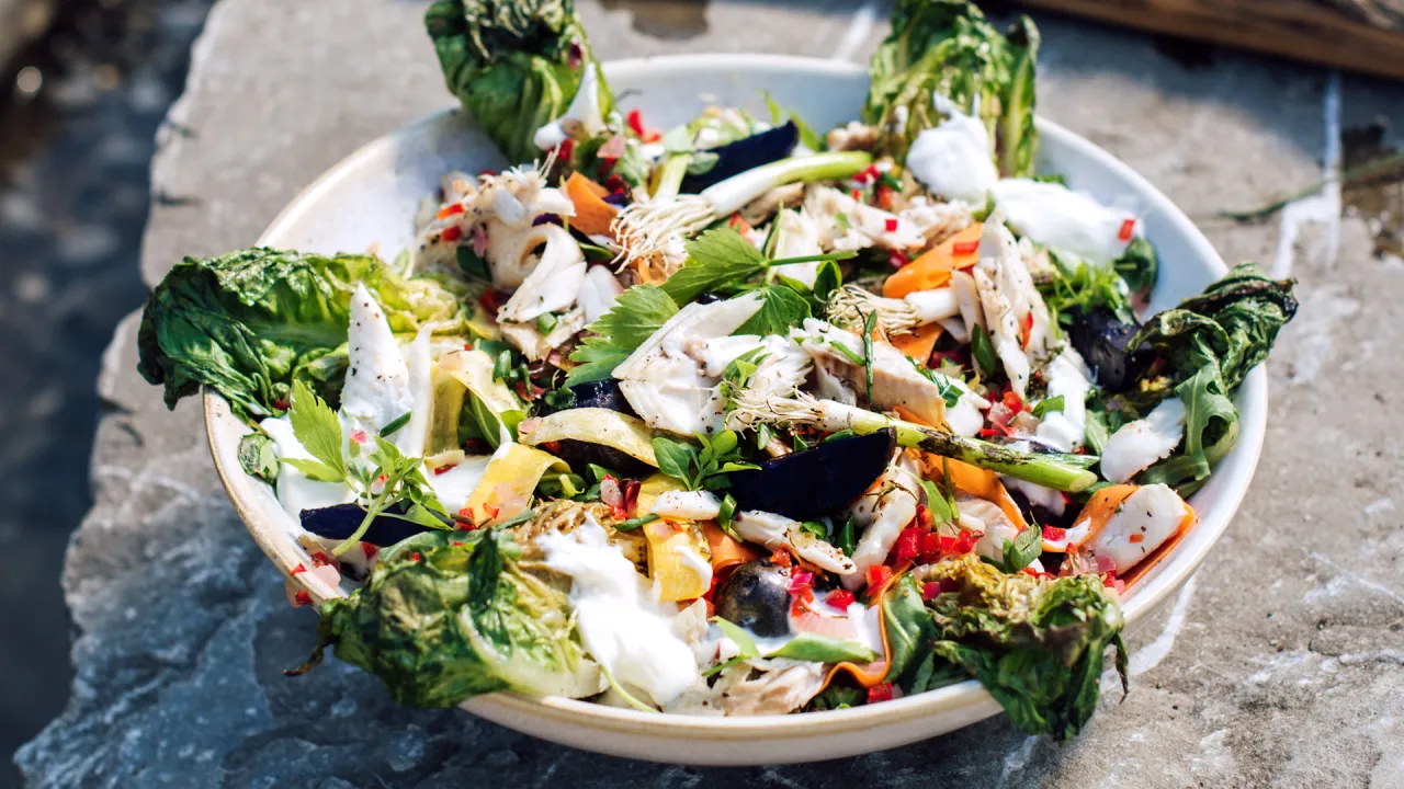 lekkie sałatki do pstrąga grillowanego