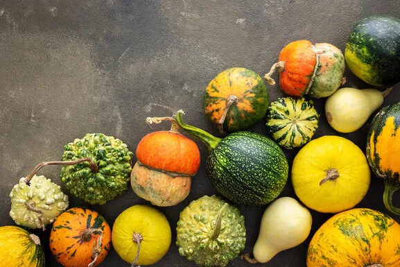r&oacute;żne odmiany dyni na obiad