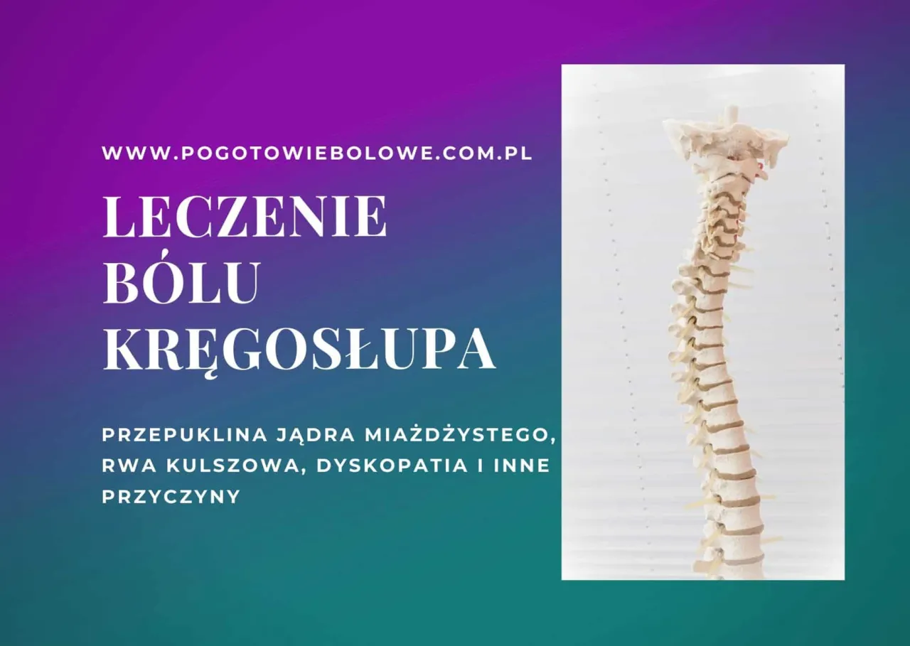 Kręgosłup budowa dyski