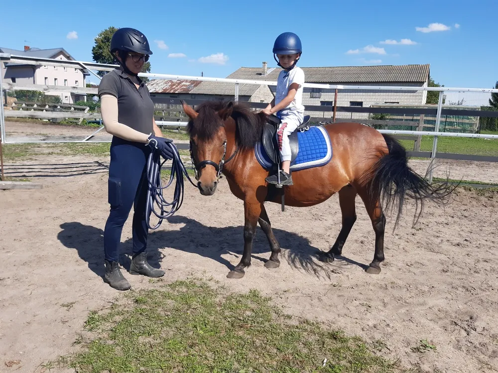 Stajnia Ikona Jeździectwa infrastruktura kryta ujeżdżalnia