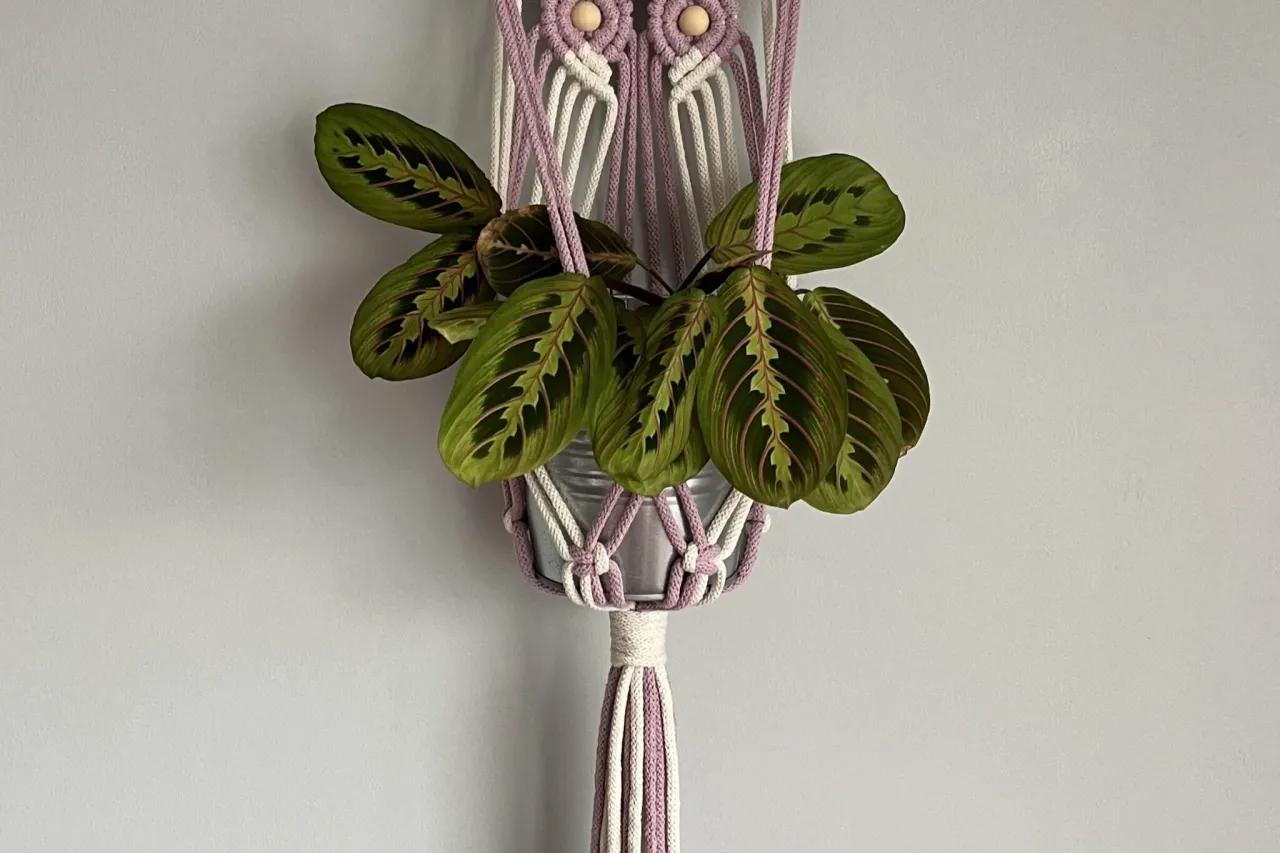 r&oacute;żne style kwietnik&oacute;w makramowych