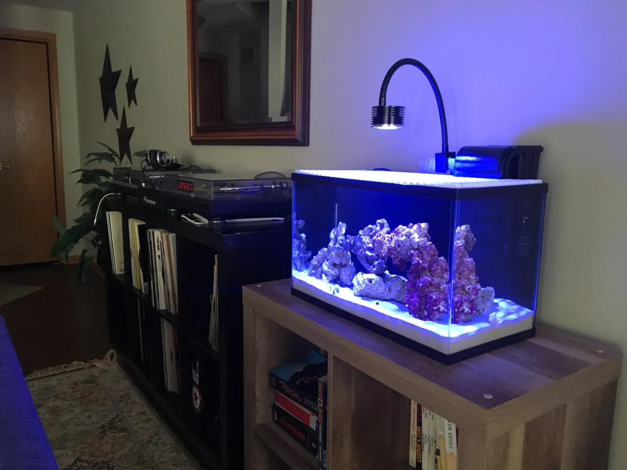 niebieskie oświetlenie akwarium estetyka