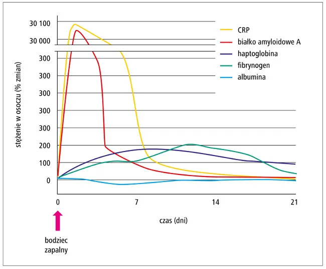 Tabela norm CRP dla dorosłych, dzieci i kobiet w ciąży