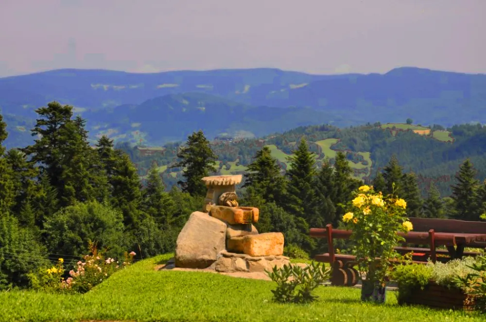 Bac&oacute;wka na Obidzy widok panoramiczny