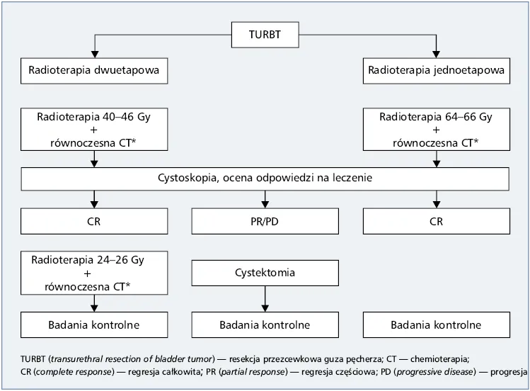 Urologia zakres leczenia schemat
