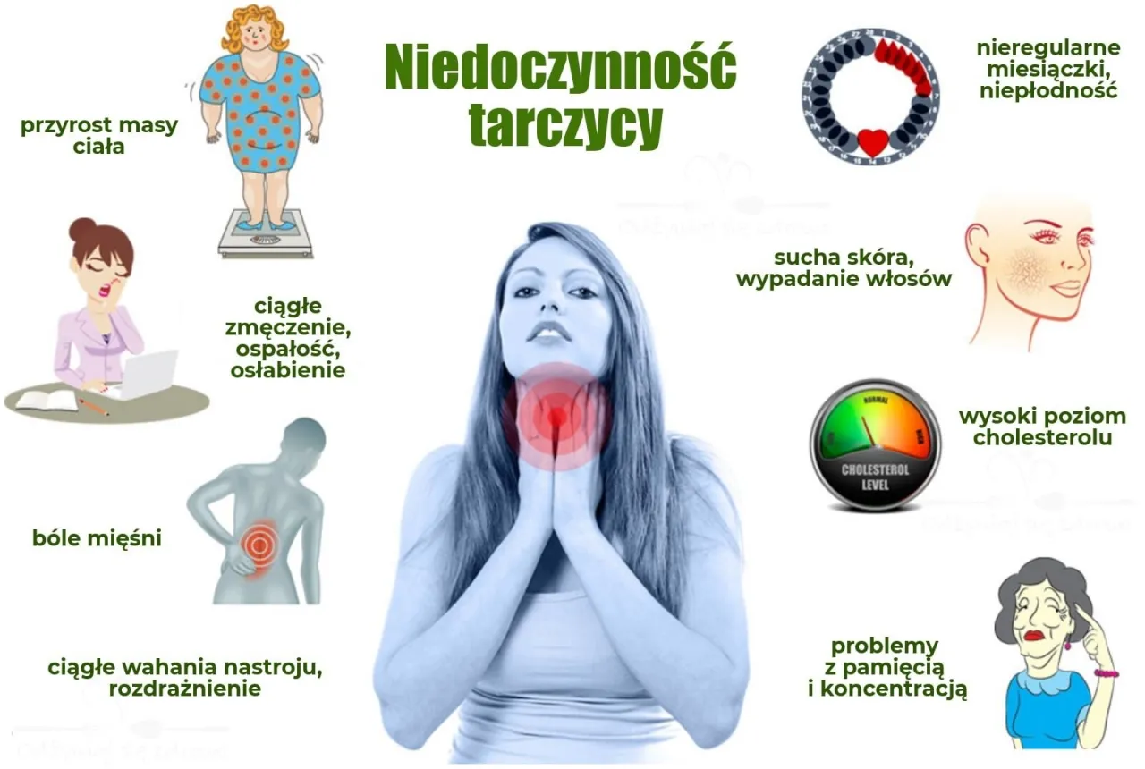 Ilustracja przedstawia objawy niedoczynności tarczycy: przyrost masy ciała, zmęczenie, bóle mięśni, wahania nastroju, suchą skórę, wypadanie włosów, problemy z pamięcią i koncentracją, nieregularne miesiączki i wysoki cholesterol.