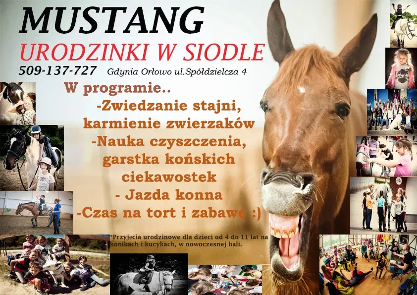 stadniny koni tr&oacute;jmiasto mapa