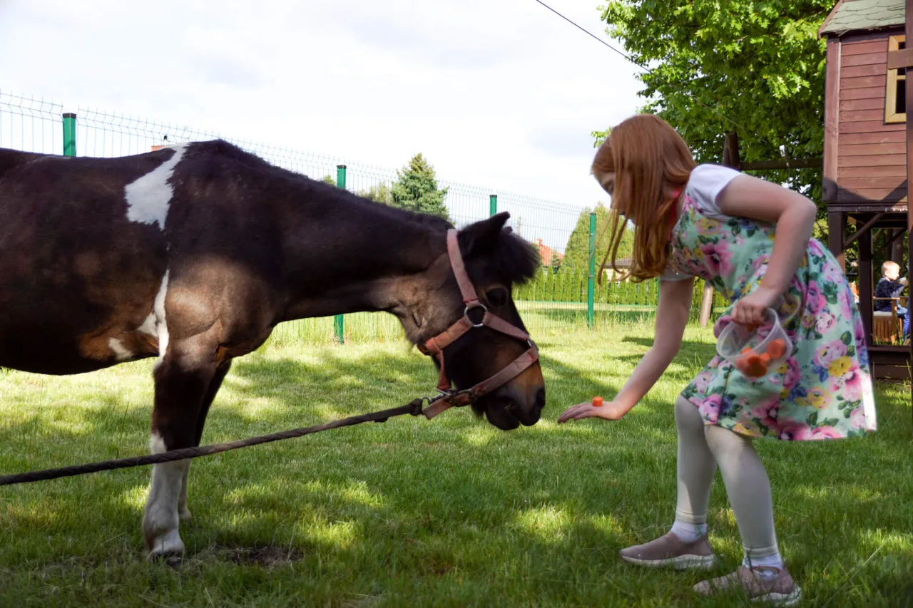 Stadnina koni Piaseczno oferta