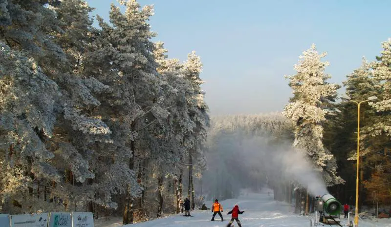 Szczecińska Gubał&oacute;wka dawniej snowpark zdjęcia
