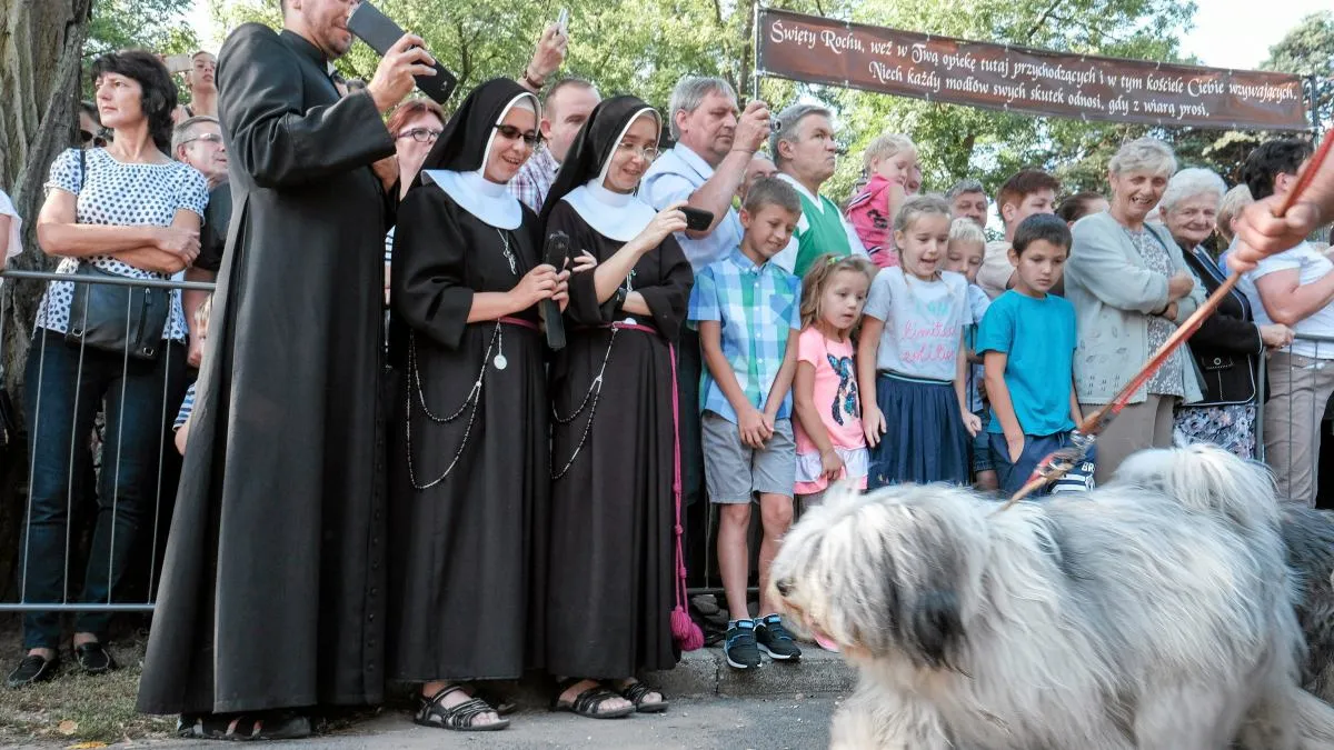 Błogosławieństwo zwierząt w kościele w Polsce