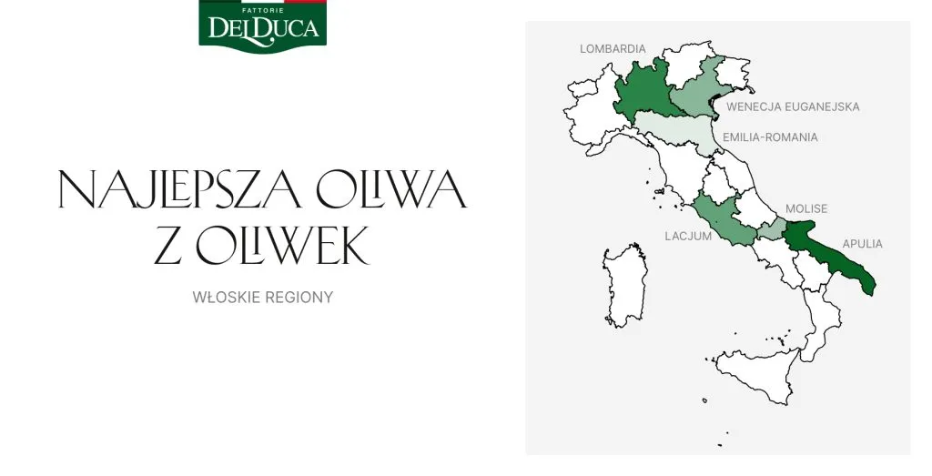 Mapa region&oacute;w produkcji oliwy z oliwek lub r&oacute;żne butelki oliwy
