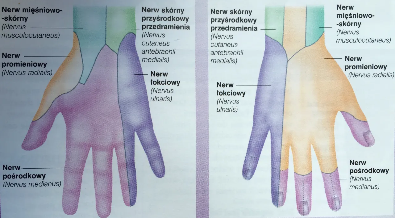przyczyny mrowienia drętwienia ręki nogi
