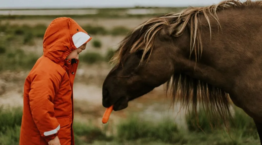 Koń jedzący jabłko lub marchewkę