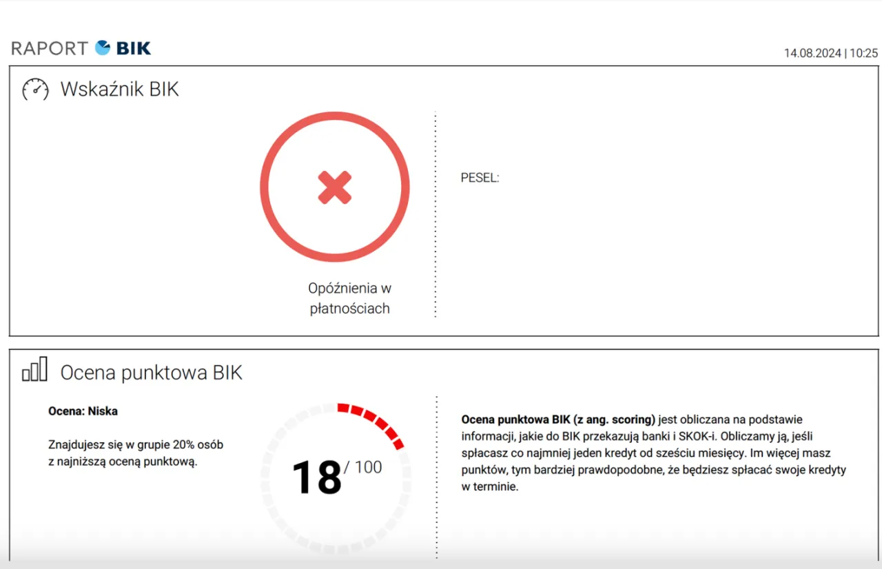 Wpływ długu na BIK i KRD
