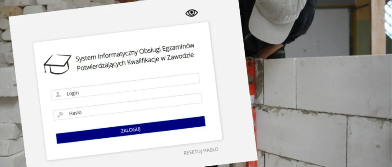 osoba sprawdzająca wyniki egzaminu zawodowego online