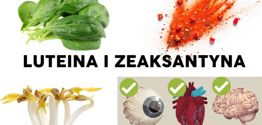 Jarmuż, szpinag i kukurydza - źr&oacute;dła luteiny