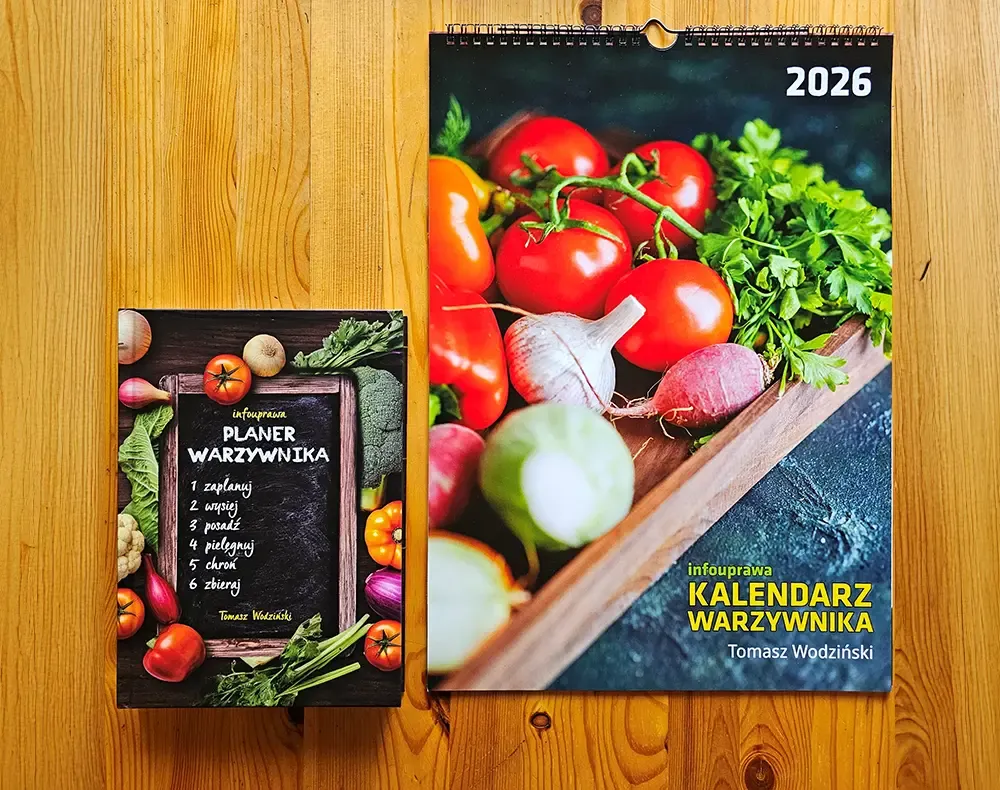 przygotowanie gleby warzywnik infouprawa