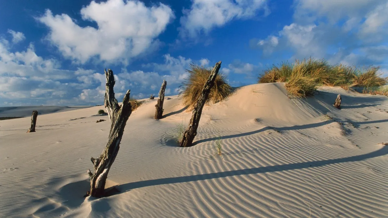 ruchome wydmy Słowiński Park Narodowy