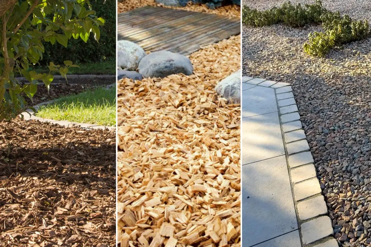 Problemy z korą ogrodową