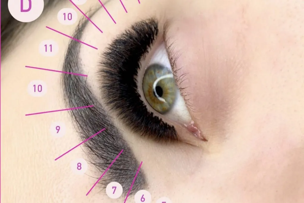 aplikacja kępek rzęs mapa oka