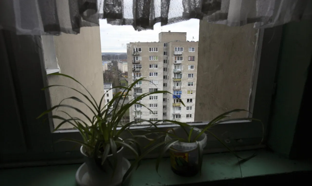 Widok z okna na blok mieszkalny, z roślinami na parapecie. Czy to jest podatek katastralny?