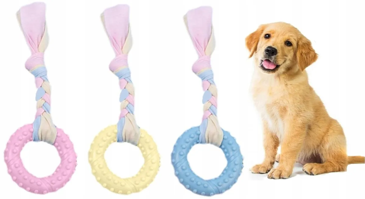 szczeniak gryzie zabawkę gryzak