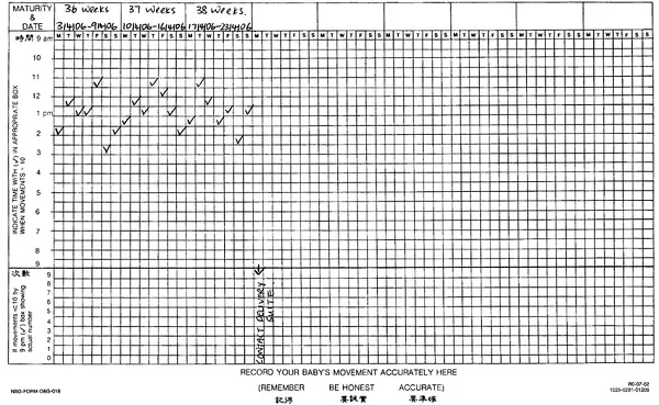 kobieta w ciąży liczy ruchy dziecka, notatnik