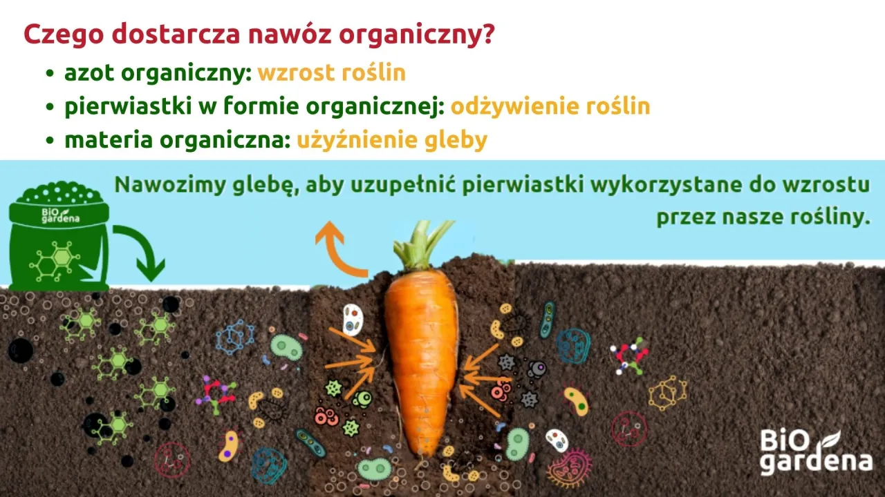 Zdjęcie Nawozy organiczne czy mineralne: co wybrać dla lepszych upraw?