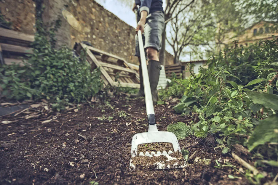 narzędzia do usuwania chwast&oacute;w rozłogowych